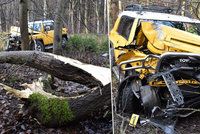 Při nehodě na Rakovnicku truckem vyvrátil a zlomil strom, auto je napadrť