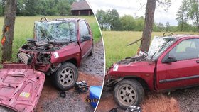 Devatenáctiletá řidička nezvládla řízení a narazila do stromu