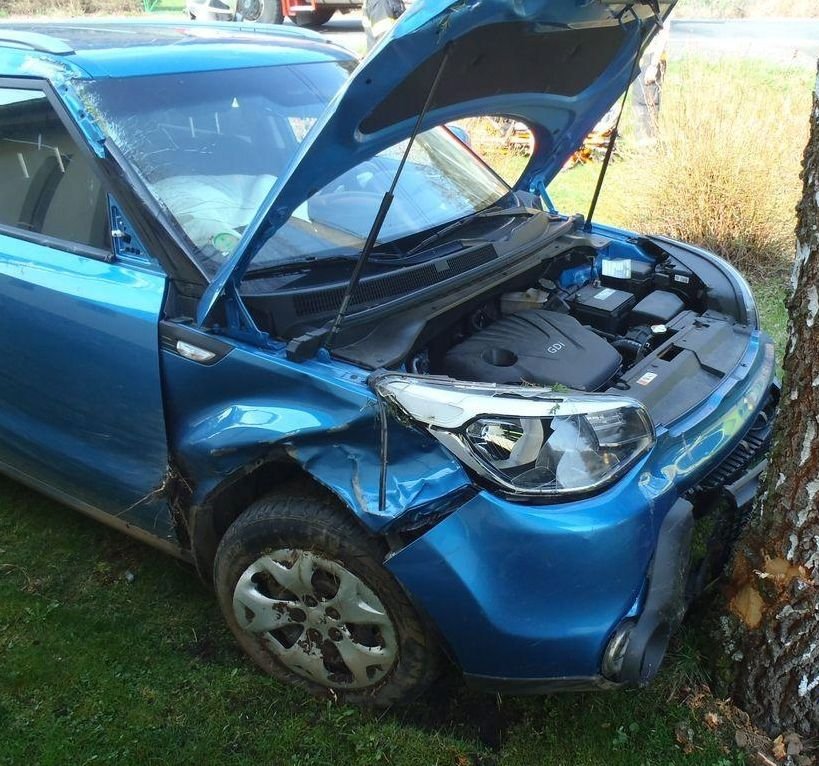 Řidička (58) na Sušicku vyletěla ze silnice, proletěla zahradou, těsně minula dům a narazila do stromu. Skončila v nemocnici.