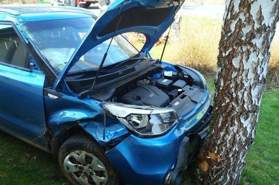 Řidička (58) na Sušicku vyletěla ze silnice, proletěla zahradou, těsně minula dům a narazila do stromu. Skončila v nemocnici.