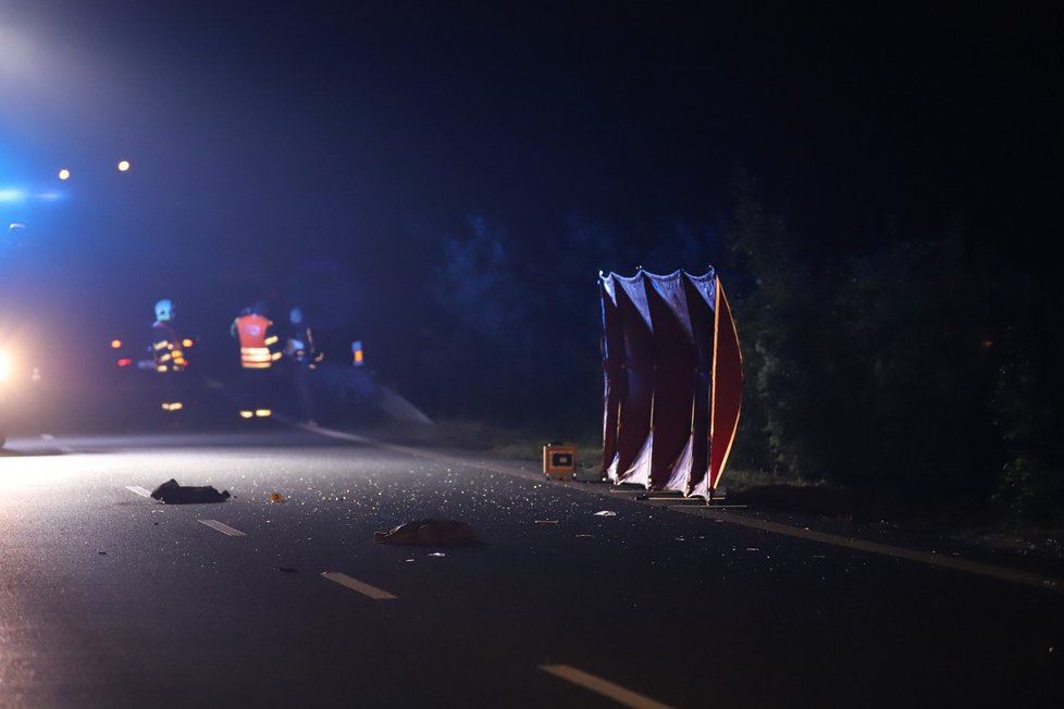 Na silnici mezi Prahou a Roztoky došlo ke srážce chodce s osobním automobilem. Sražený muž nehodu nepřežil.