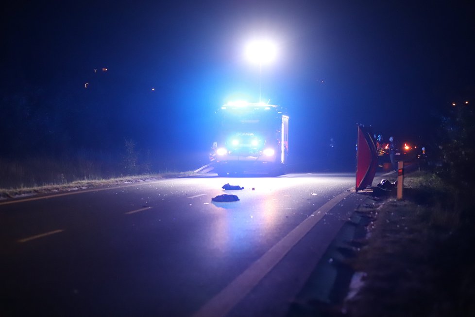 Na silnici mezi Prahou a Roztokami došlo k srážce mezi chodcem a osobním automobilem. Sražený muž nehodu nepřežil.