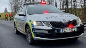 Neštěstí u Chýnova: Havárii fabie nepřežili dva lidé