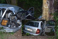 Mladý řidič ve škodovce vyletěl ze zatáčky přímo do stromu: Neměl šanci přežít