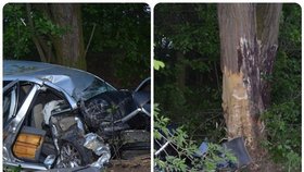Děsivá nehoda: Fabie zůstala k nepoznání, mladý řidič nepřežil