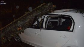 Strom spadl na auto, ve kterém mladík zrovna seděl.