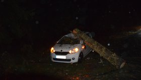 Strom spadl na auto, ve kterém mladík zrovna seděl.
