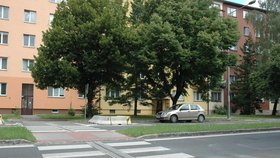 Pavlínka Fryčová si hrála s dětmi v parčíku a vracela se do tohoto domu za svojí maminkou. Na přechodu ji smetl řidič autobusu č. 49.