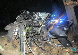Řidič (†19) z Rakouska se zabil u Třeboně: Po srážce se stromem z auta zbyl jen šrot