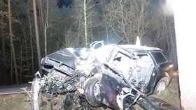 Řidič (†19) z Rakouska se zabil u Třeboně: Po srážce se stromem z auta zbyl jen šrot