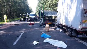 Nehoda čtyř aut u Mladé Boleslavi si vyžádala život řidiče, další dva lidé byli zraněni.