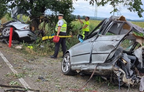 Mladík jel v BMW příliš rychle: Vyletěl ze zatáčky a zemřel po nárazu do stromu