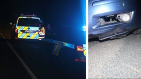 Policisté hledají svědky, kteří si všimli muže v tmavém oblečení v neděli 21. května po půl druhé ráno mezi Pernou a Klentnicí.