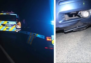 Policisté hledají svědky, kteří si všimli muže v tmavém oblečení v neděli 21. května po půl druhé ráno mezi Pernou a Klentnicí.