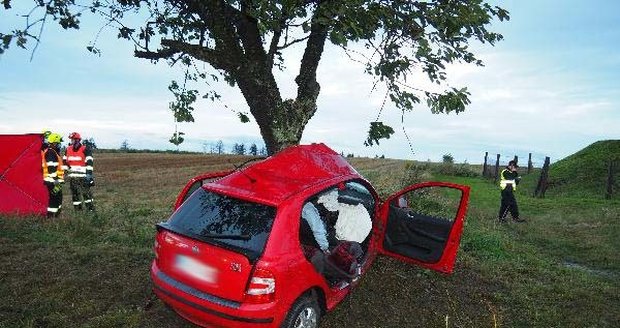 Řidička (†49) zemřela po nárazu do stromu u Svatoslavi.