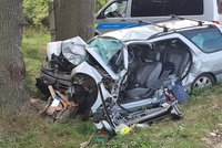 Velké neštěstí na Rychnovsku! Řidič osobního auta nepřežil náraz do stromu