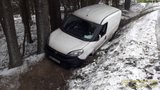 Muže zabil padající strom. Nehody, vichr, nový sníh i mráz v Česku, sledujte radar Blesku