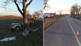 Mladík na Prostějovsku nezvládl řízení. Po nárazu do stromu zemřel.