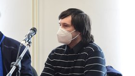 Soud potvrdil Stanislavu Sochnovi 11,5 roku za tragickou nehodu na Znojemsku.