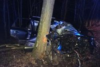 Na Teplicku vyjelo osobní auto ze silnice, jeden člověk zemřel