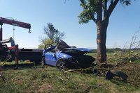 Řidič (†37) na Opavsku vyjel ze silnice a narazil do stromu. Na místě zemřel