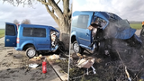 Tragická nehoda na Prostějovsku: Řidič narazil do stromu, na místě zemřel