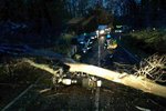 V Hajanech na Brněnsku narazil v 6 ráno motorkář do stromu, který spadl na silnici.