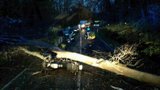 Silný vítr bičuje jižní Moravu: Strom spadl na auto, do druhého narazil motorkář, hala je fuč