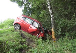 Řidič (†34) na Šumpersku zemřel po nárazu do stromu: Našli ho až po několika hodinách (ilustrační foto)