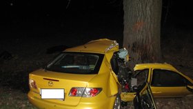Na Táborsku zemřel při dopravní nehodě mladík a dívka.
