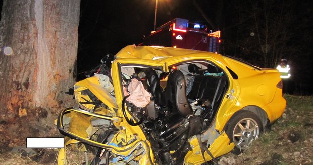 Auto vletělo na Táborsku do stromu: Zemřel mladík (†19) a dívka (†15)