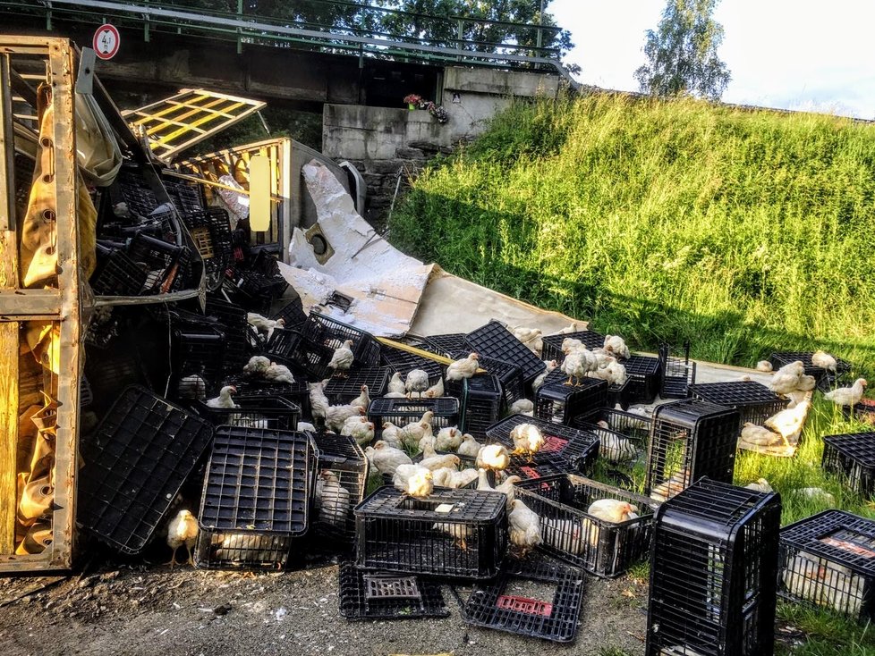 Tragédie na Táborsku: Náklaďák narazil do viaduktu, dva lidé zemřeli 