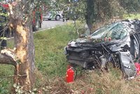 Mladá řidička na Trutnovsku narazila do stromu: Nehodu nepřežila