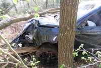 Les si spletl se závodní dráhou: Opilec ve škodovce zaparkoval mezi stromy