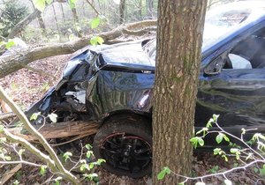 S téměř jedním promile alkoholu si to flamendr (29) ve škodovce namířil do lesa. Skončil ve stromě, čeká ho postih.