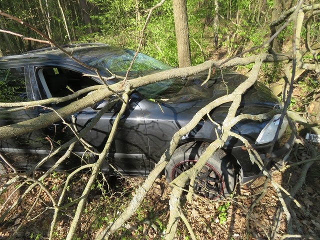 S téměř jedním promile alkoholu si to flamendr (29) ve škodovce namířil do lesa. Skončil ve stromě, čeká ho postih.