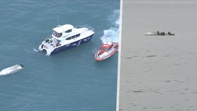 Loď se srazila s velrybou: Strašlivou nehodu nepřežilo 5 lidí!