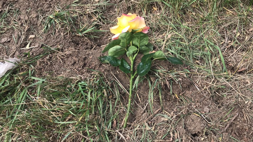 Na místě tragédie se objevila už i první květina.