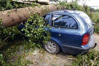 Strom zlomený vichrem rozmáčkl auto: Byly v něm dvě děti