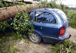 Osádka vozu, na který se na Pardubicku zřítil mohutný strom, měla štěstí. Dvě děti i s rodiči vyvázy bez zranění
