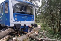 Motorák vykolejil na Domažlicku: Narazil do spadlého stromu