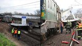Srážka dvou vlaků na Litoměřicku: Způsobila ji lidská chyba!