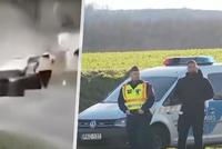 Během závodu vjelo do publika auto: Na místě usmrtilo čtyři diváky a dalších osm zranilo!