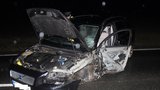 Opilý řidič narazil do protijedoucího auta: Nezraněný z posádky zůstal jenom pes