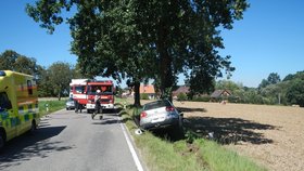 Těhotná žena narazila do stromu u Žimutic na Českobudějovicku.