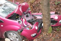 Hrozivá nehoda na Zlínsku: Seniorka nepřežila náraz do stromu