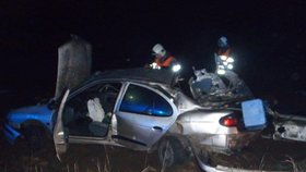 U Zlosyně na Mělnicku při autonehodě zahynuli dva lidé