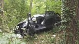 Řidič na Domažlicku vyjel ze silnice a narazil do stromu: Na místě zemřel