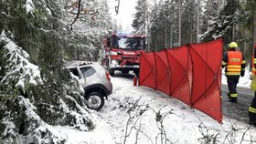 Tragickou nehodu na Plzeňsku senior za volantem nepřežil.