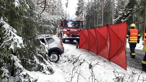 Tragická nehoda na Plzeňsku: Senior vyjel ze silnice, náraz do stromu nepřežil